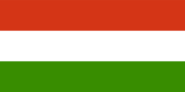 magyar nyelv választó